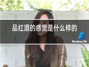 品红酒的感觉是什么样的