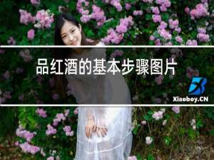 品红酒的基本步骤图片