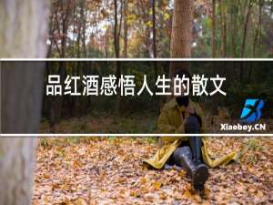 品红酒感悟人生的散文