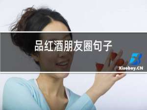 品红酒朋友圈句子