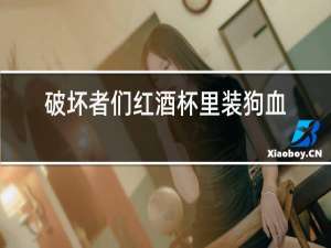 破坏者们红酒杯里装狗血
