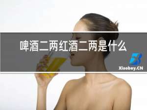 啤酒二两红酒二两是什么歌曲