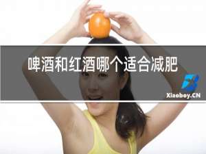 啤酒和红酒哪个适合减肥期间喝