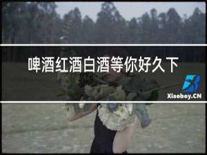啤酒红酒白酒等你好久下联