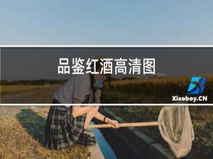 品鉴红酒高清图