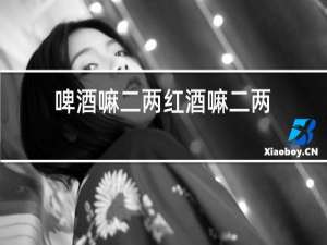 啤酒嘛二两红酒嘛二两