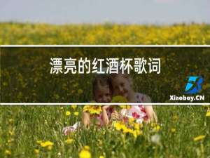 漂亮的红酒杯歌词