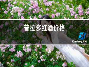 普拉多红酒价格
