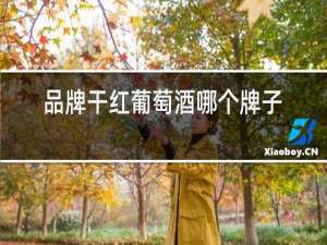 品牌干红葡萄酒哪个牌子好喝
