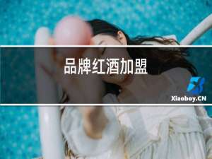 品牌红酒加盟