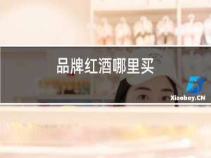 品牌红酒哪里买