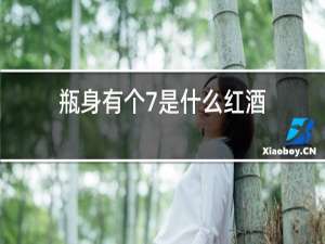 瓶身有个7是什么红酒