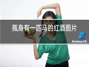 瓶身有一匹马的红酒图片