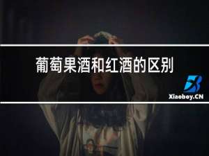 葡萄果酒和红酒的区别