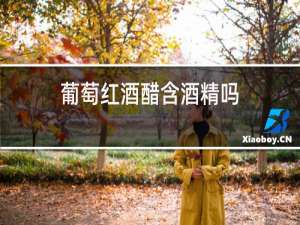 葡萄红酒醋含酒精吗