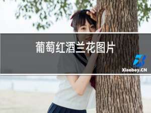 葡萄红酒兰花图片