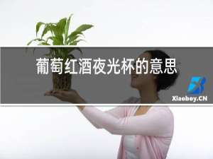 葡萄红酒夜光杯的意思
