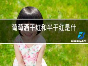 葡萄酒干红和半干红是什么意思?