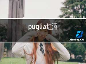 puglia红酒