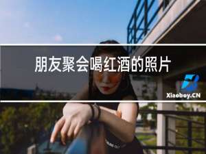 朋友聚会喝红酒的照片