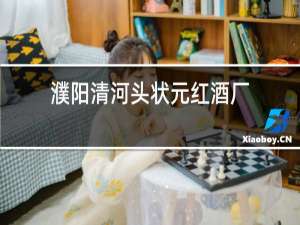 濮阳清河头状元红酒厂
