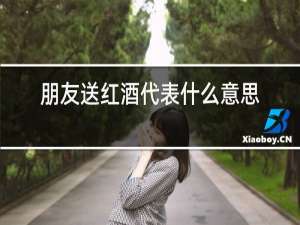 朋友送红酒代表什么意思