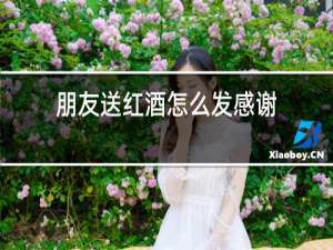 朋友送红酒怎么发感谢