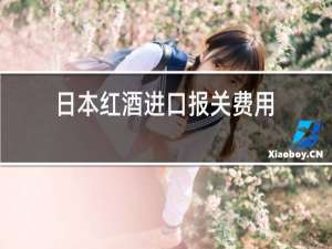 日本红酒进口报关费用