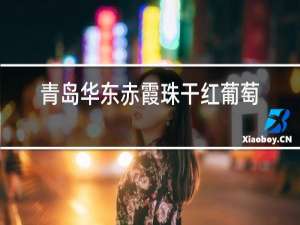 青岛华东赤霞珠干红葡萄酒