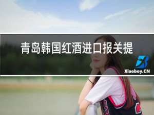 青岛韩国红酒进口报关提供资料