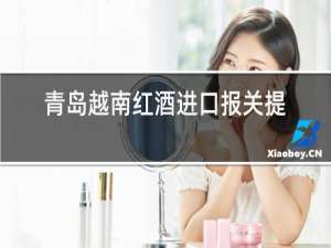 青岛越南红酒进口报关提供资料
