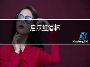 启尔红酒杯