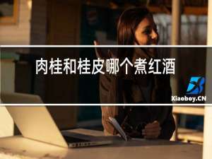 肉桂和桂皮哪个煮红酒