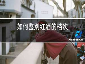 如何鉴别红酒的档次