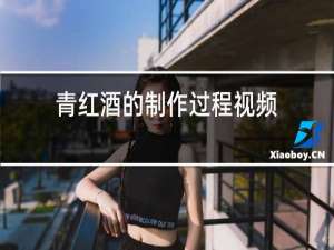 青红酒的制作过程视频