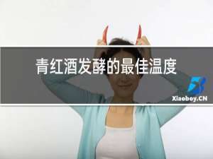青红酒发酵的最佳温度