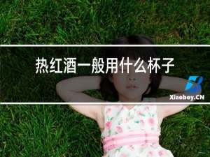 热红酒一般用什么杯子