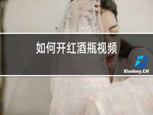 如何开红酒瓶视频
