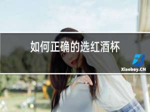 如何正确的选红酒杯