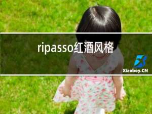 ripasso红酒风格