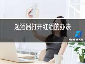 启酒器打开红酒的办法