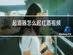 起酒器怎么起红酒视频