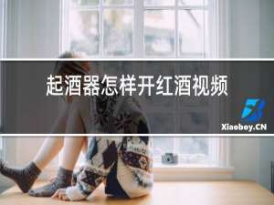起酒器怎样开红酒视频