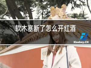 软木塞断了怎么开红酒