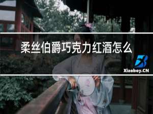 柔丝伯爵巧克力红酒怎么样
