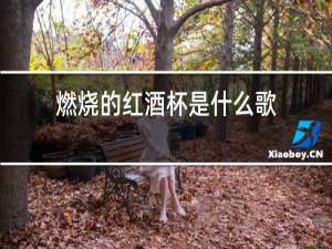 燃烧的红酒杯是什么歌