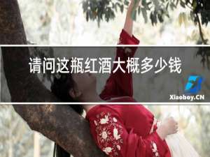 请问这瓶红酒大概多少钱