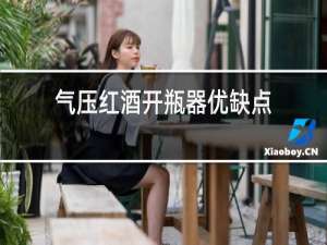 气压红酒开瓶器优缺点