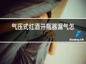 气压式红酒开瓶器漏气怎么用