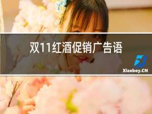 双11红酒促销广告语